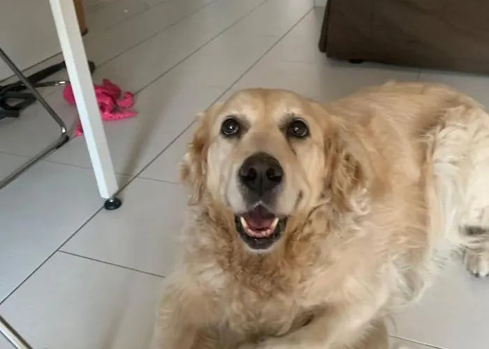 Apartamento Studio_suite05 *